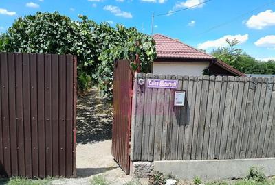 Casă cu 5 camere cu Teren 3837 Mp în Movilița - 5