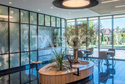 Birouri premium in Sibiu–Spatii flexibile moderne pentru companii TOP - 15