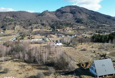 Spațiu comercial, în Sohodol - 2