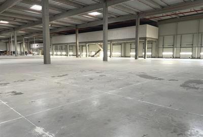 COMISION 0 / Hala clasa A / Autorizatie ISU - 3