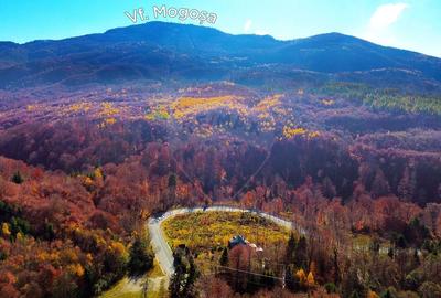 DE VANZARE DN Baia Mare-Sighet  29AR  Constructie multifunctionala - 4