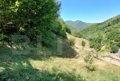 Teren cu autorizatie de constructie, 1130 mp in Muntele Rece - 2