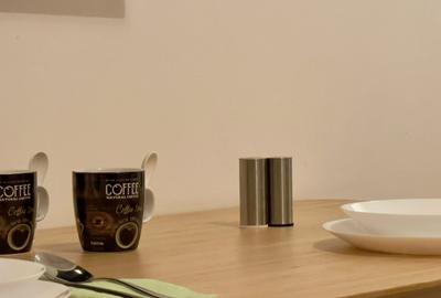 Apartament cu 2 camere semidecomandat, mobilat în Universitate - 7