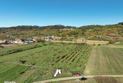 Spațiu comercial, în Aușeu - 3