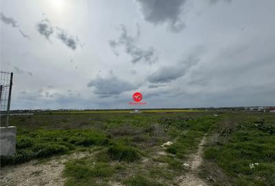 Teren de 2500 mp, în Boreal - 2