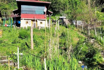 Casă cu 4 camere în Cosminele - 5