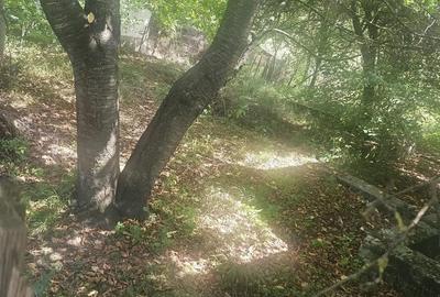 Teren de 1813 mp, în Mihăești - 6