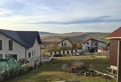 Vand teren in Chinteni - 4