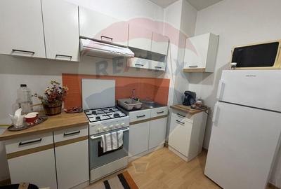 Apartament cu 1 camere semidecomandat, mobilat în Calea București - 4