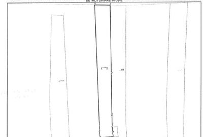 Teren intravilan Loc. Spini, comuna Turdas, jud. Hunedoara - 6