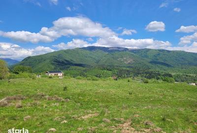 Teren de 2500 mp, în Nucșoara - 5