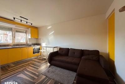 Apartament cu 2 camere, mobilat în Tătărași - 2