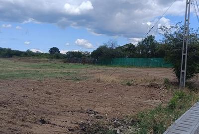 Terenuri cu suprafete intre 500 si 1500 mp in Baicoi, zona Liliesti. - 6