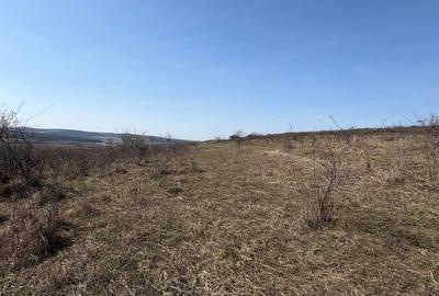 Teren Construcții intravilan de 5800 mp, în Crișeni - 3