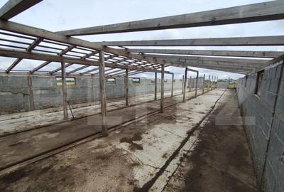 Teren intravilan cu constructie din caramida in Cheriu langa - 8