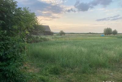 Vind Casa in localitatea Chislaz jud Bihor - 3