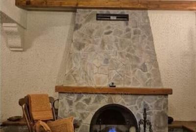 CASA DE VACANTA//CORNU DE JOS - 9