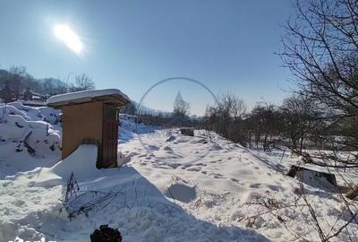 Casă cu 3 camere cu Teren 1200 Mp în Nimigea - 15