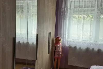 Vanzare casa in localitatea salard - 2