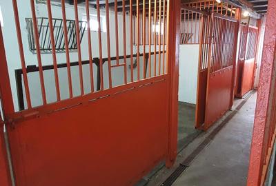 Casă cu 2 camere în Zădăreni - 6