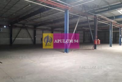 Spațiu industrial, de 4,850 mp, în 1 Decembrie - 30