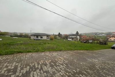 Teren Construcții intravilan de 3996 mp, în Dealuri Oradea - 5