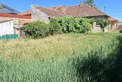 BRASADAS vinde casa 3 cam cu teren 5 ari in 14 Mai. - 4