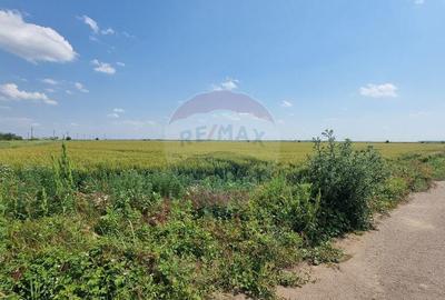 Teren intravilan - 17.500 mp - Gostilele Fundulea - 18