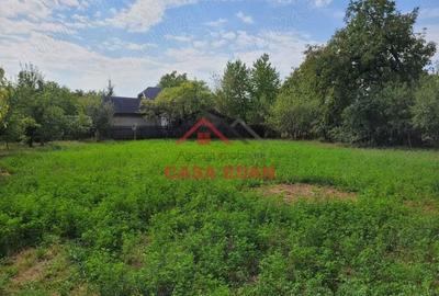 Teren intravilan in Campina--1116 mp--100e - 2