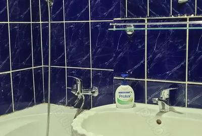 Garsonieră decomandată în Ultracentral - 1