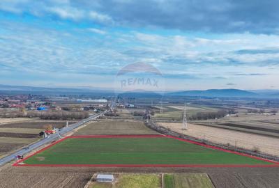 Teren agricol intravilan de 5300 mp, în Prejmer - 3
