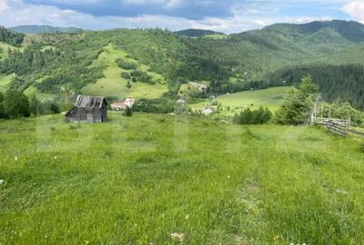 Teren de 20000 mp, în Central