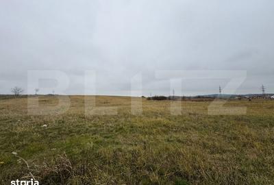 Teren de 7665 mp, în Turdaș - 1