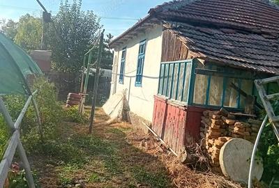 Vand casa locuibila - 4