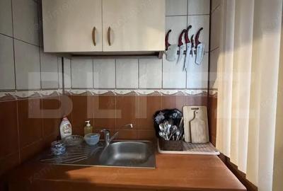 Apartament cu 3 camere decomandat în Lăpuș Argeș - 11
