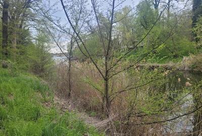 SUPER  OCAZIE TEREN 4000MP DE VANZARE IN SNAGOV CU DESCHIDERE LA LACUL SNAGOV - 15