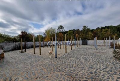 Teren Intravilan (498 mp),situat in Botorogi - Danesti - 6