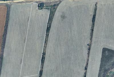 Teren de 27400 mp, în Bălăceanca - 1