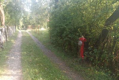 Teren de 760 mp, în Fieni - 5