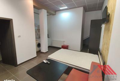 Garsonieră în Brâncoveanu - 9