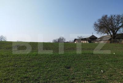 Teren 12223mp, deschidere 27mp, intravilan, Berceni Teren 12223mp, deschidere 27mp, intravilan, Berceni - 3