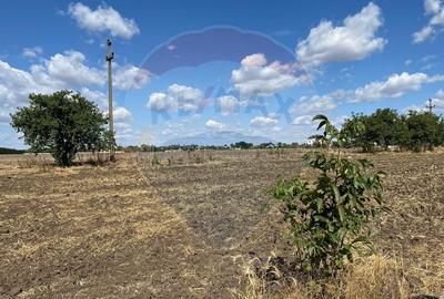 De vanzare teren intravilan 4000 mp deschidere 150 m Fundulea - 11