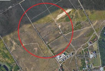 Teren de 19000 mp, în Băneasa