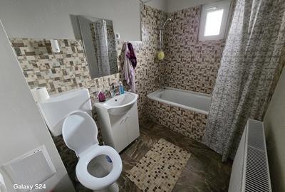 Apartament cu 2 camere decomandat în Remetea Mare - 5
