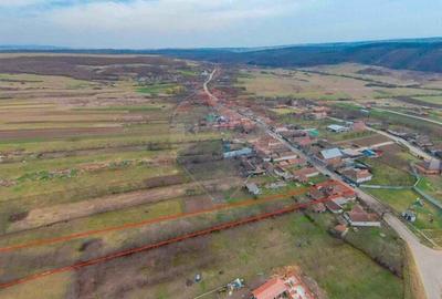 De vanzare Casa + Teren 2685 mp Intravilan, Betfia, Bihor - 20