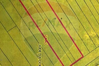 Teren de 4787 mp, în Almăj - 6