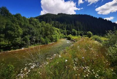 Spațiu comercial, în Ciocănești - 2