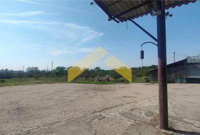 Hale de vanzare in localitatea Sebis, Arad - 4