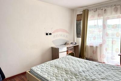 Apartament cu 4 camere de vanzare,Strada Crangului Nr. 11, zona Balta - 6
