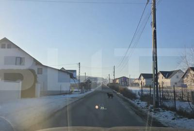 Teren de 1400 mp, în Central - 2